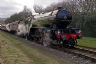 Ex LNER V2 Class 'Green Arrow'